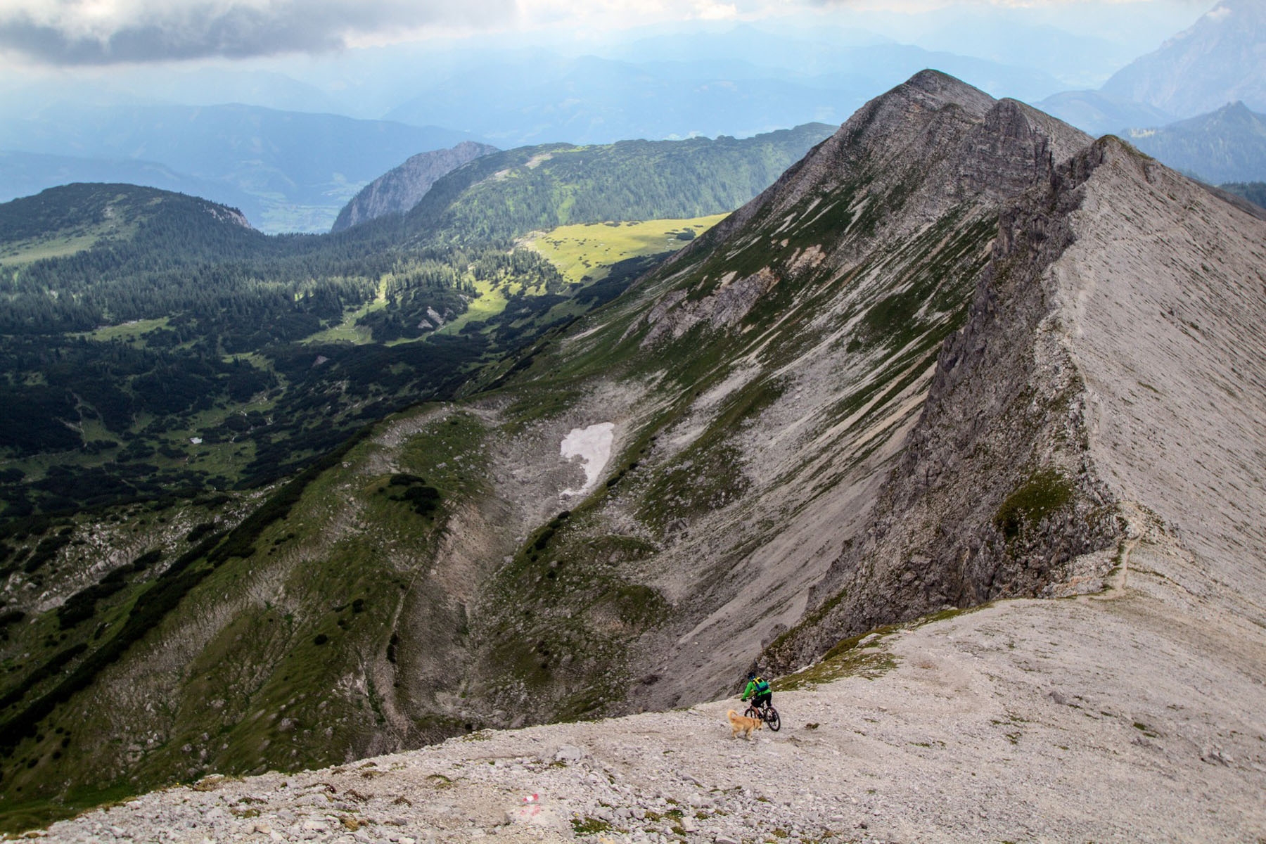 Traildog und die Killerkühe [Video]